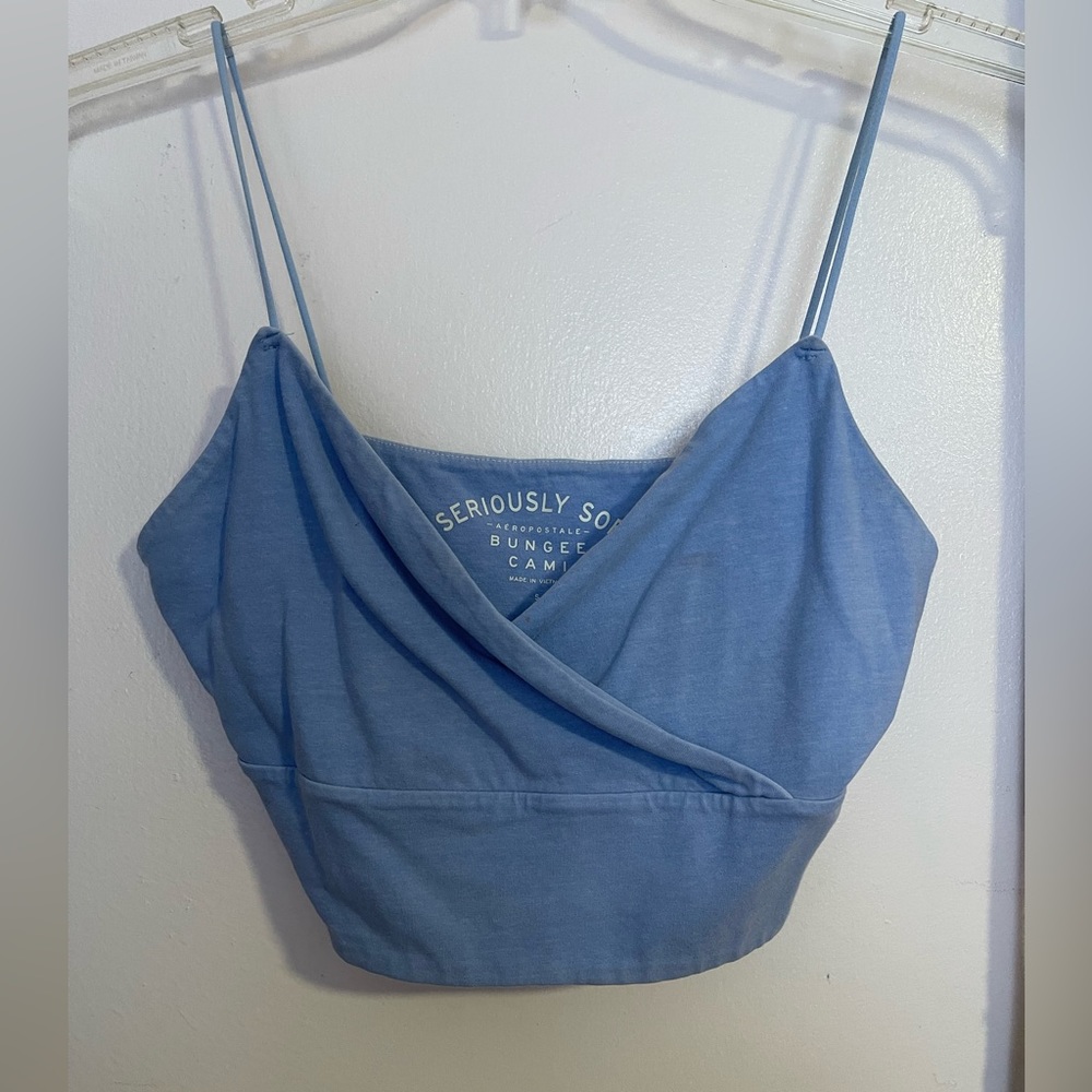Blue Plunge Crop Top